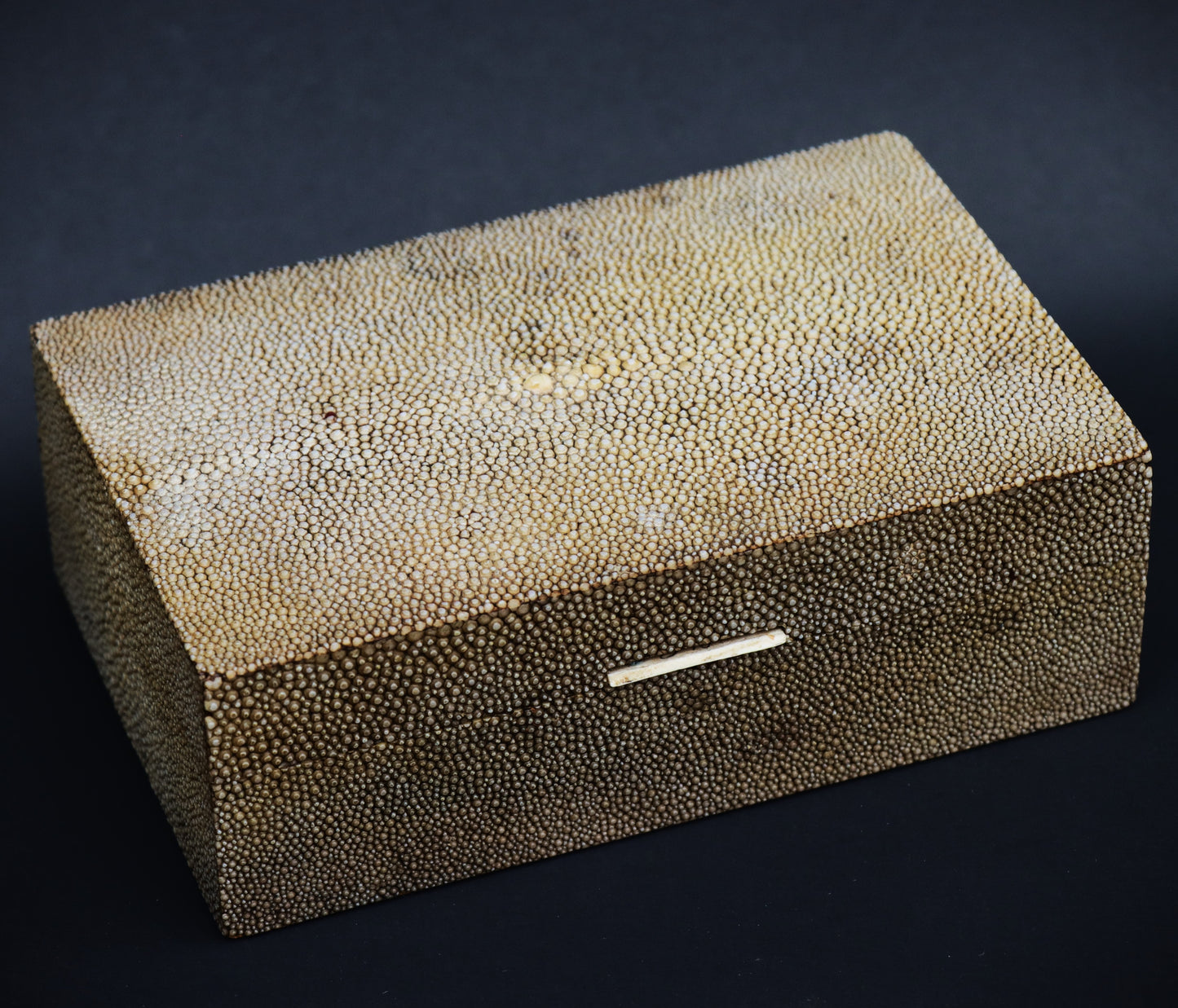 Art Deco Creamy Pale Green Shagreen Clad Wood Table Box c1930