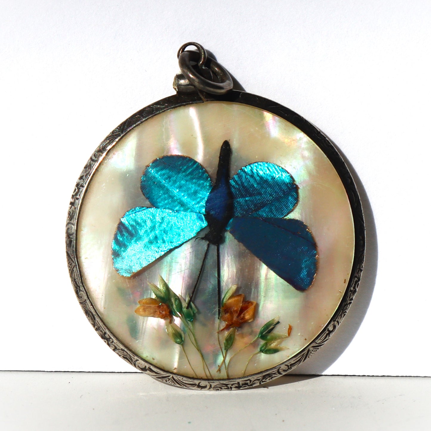Victorian Sterling Silver Morpho Butterfly Art Double Sided Mother of Pearl Locket Pendant
