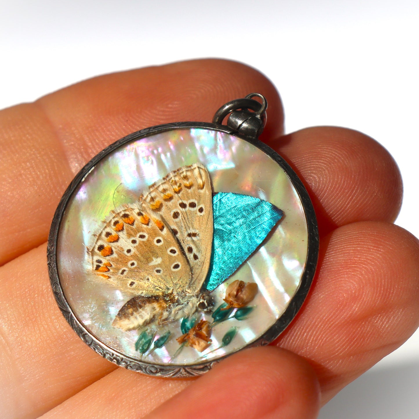 Victorian Sterling Silver Morpho Butterfly Art Double Sided Mother of Pearl Locket Pendant