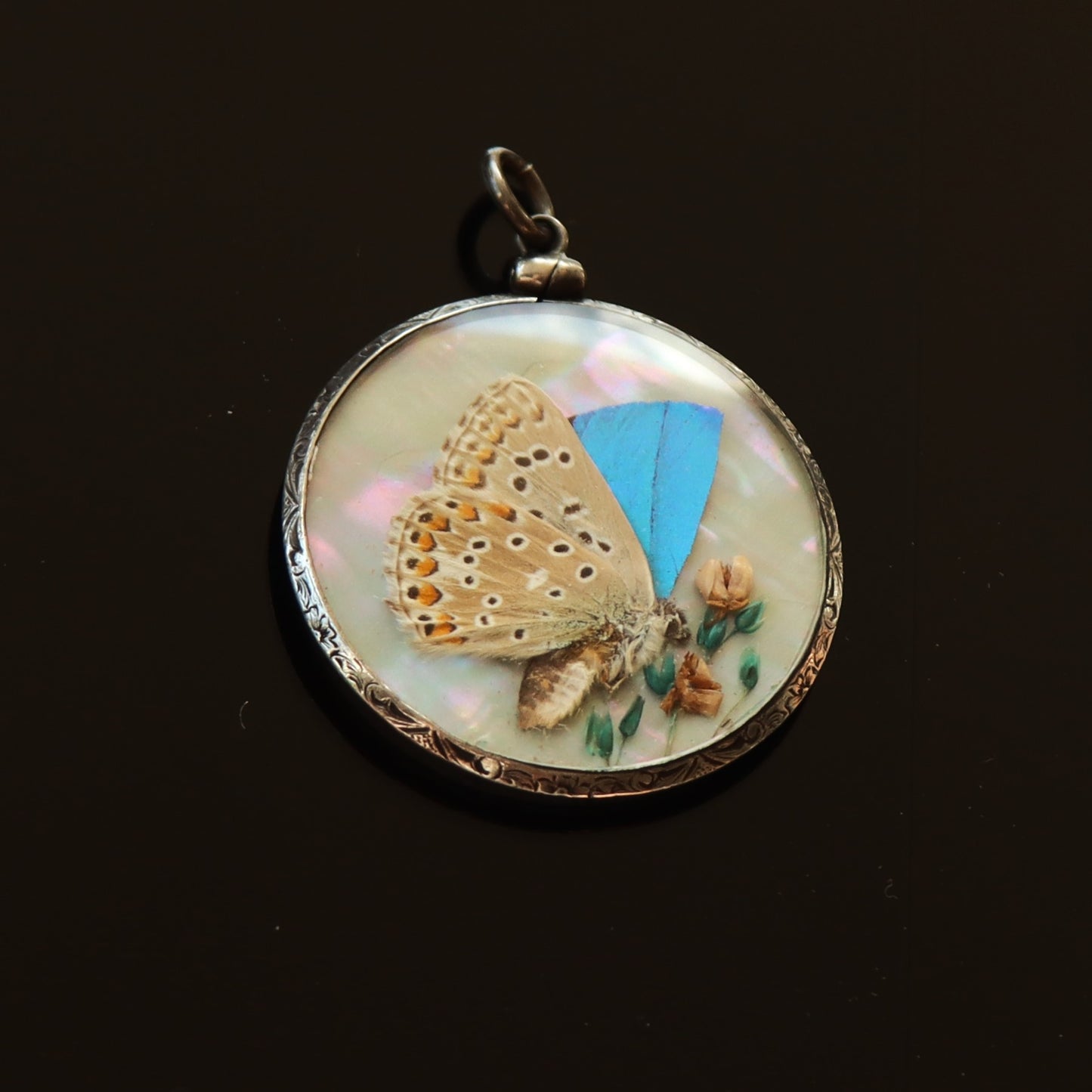 Victorian Sterling Silver Morpho Butterfly Art Double Sided Mother of Pearl Locket Pendant