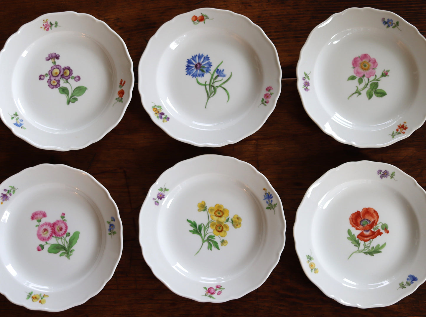 Antique Meissen 19thc Set 6 Porcelain Multi Motif Flower 7" Salad Plates