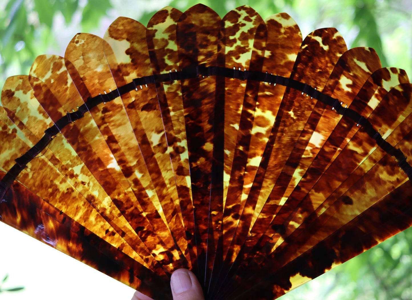 Antique Tortoise Shell Fan in Original Fitted Case c1900