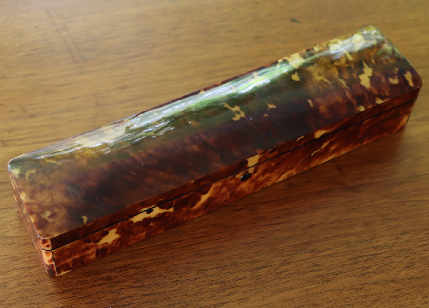 Antique Tortoise Shell Fan in Original Fitted Case c1900