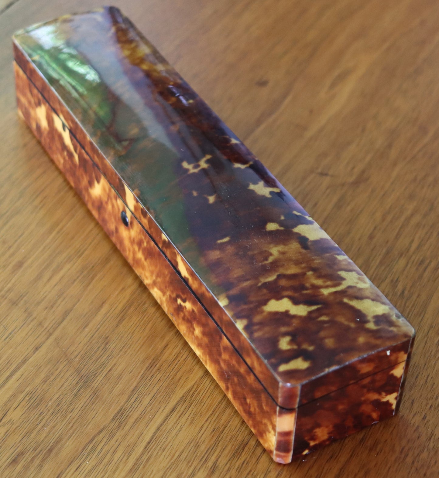 Antique Tortoise Shell Fan in Original Fitted Case c1900