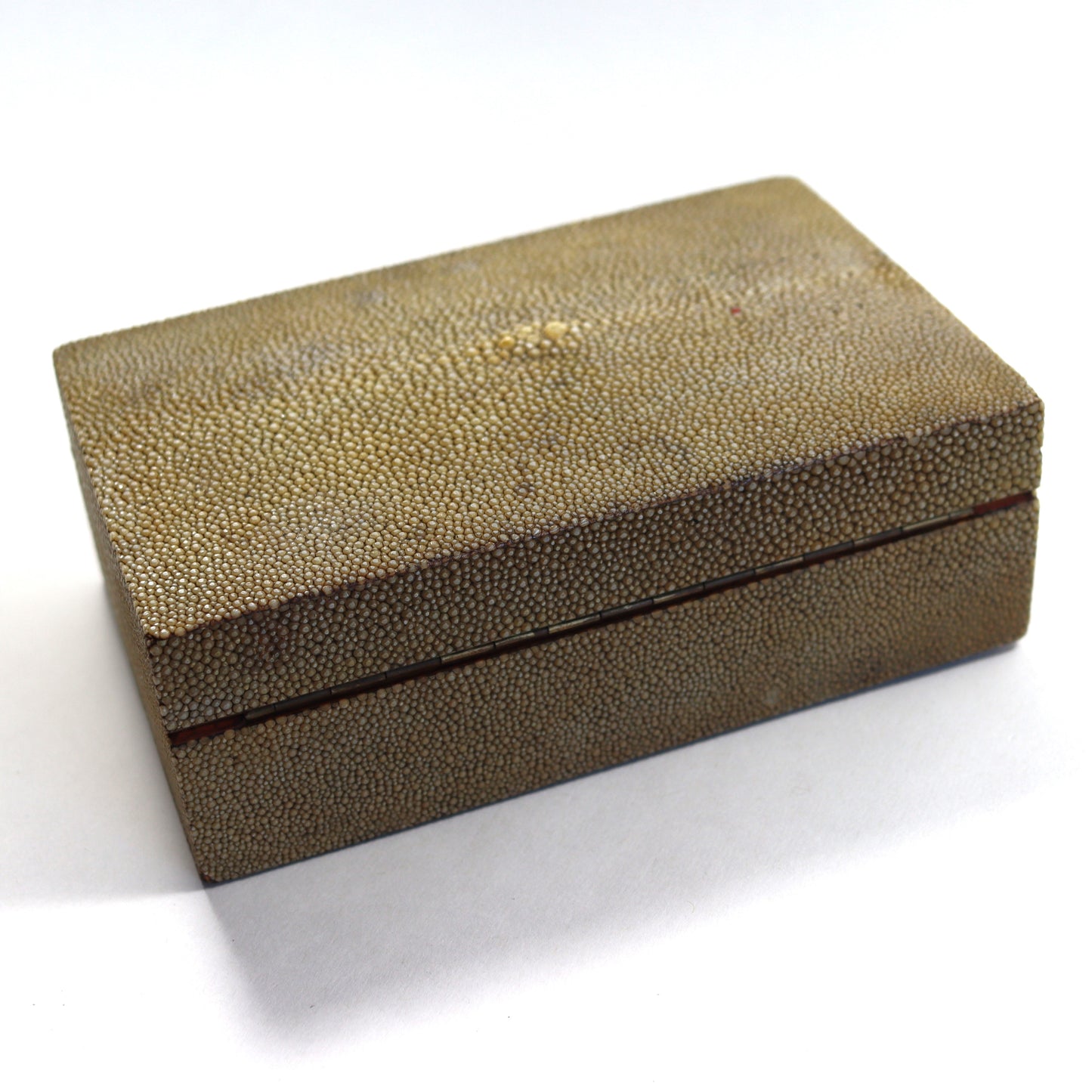 Art Deco Creamy Pale Green Shagreen Clad Wood Table Box c1930