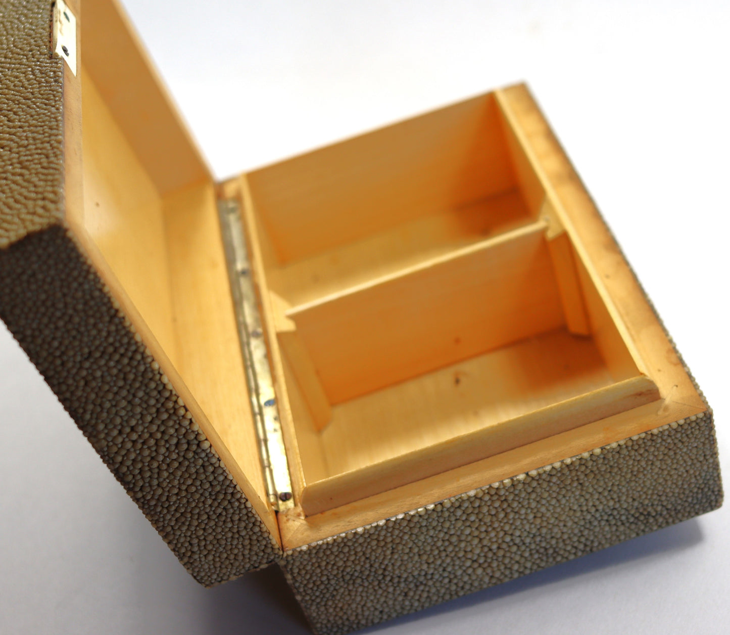 Art Deco Creamy Pale Green Shagreen Clad Wood Table Box c1930